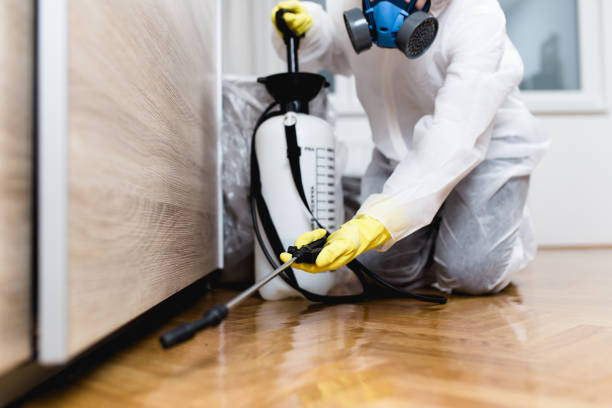 Best Emergency Pest Control  in Plafield, IN