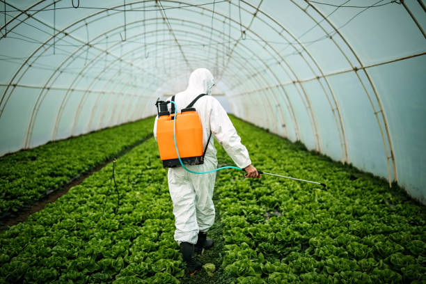 Best Commercial Pest Control Services  in Plafield, IN