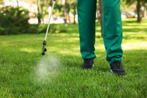 Best Pest Inspection Near Me  in Plafield, IN