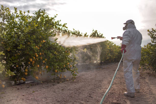 Best Exterminator Services  in Plafield, IN