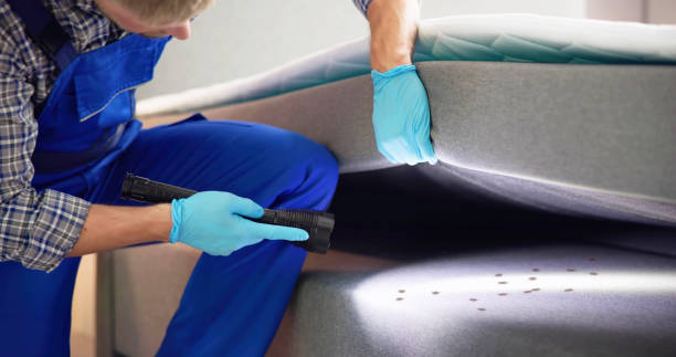 Best Affordable Exterminators  in Plafield, IN