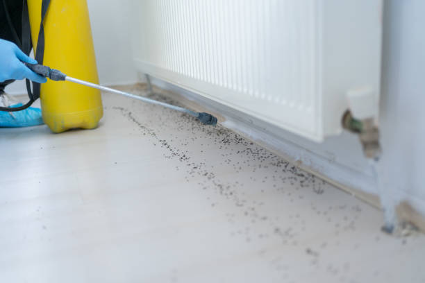 Best Pest Removal Services  in Plafield, IN