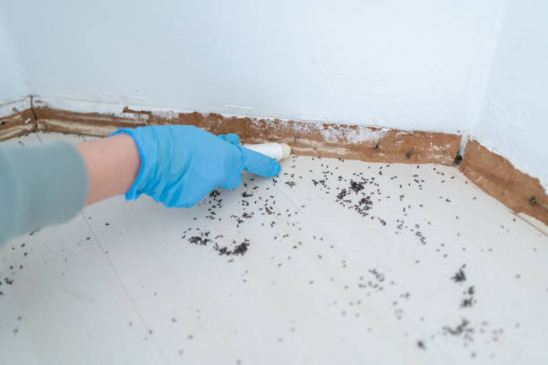 Best Commercial Pest Control Services  in Plafield, IN