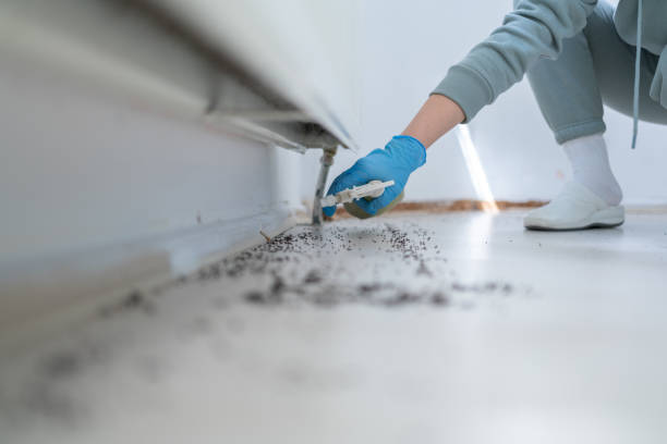 Flea Control Services in Plainfield, IN